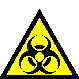 Rischio biologico